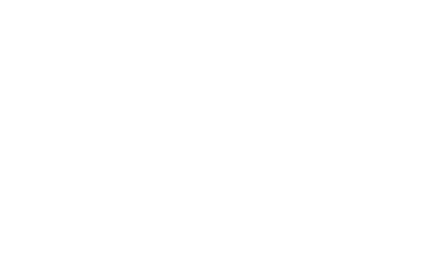 Sports Mania